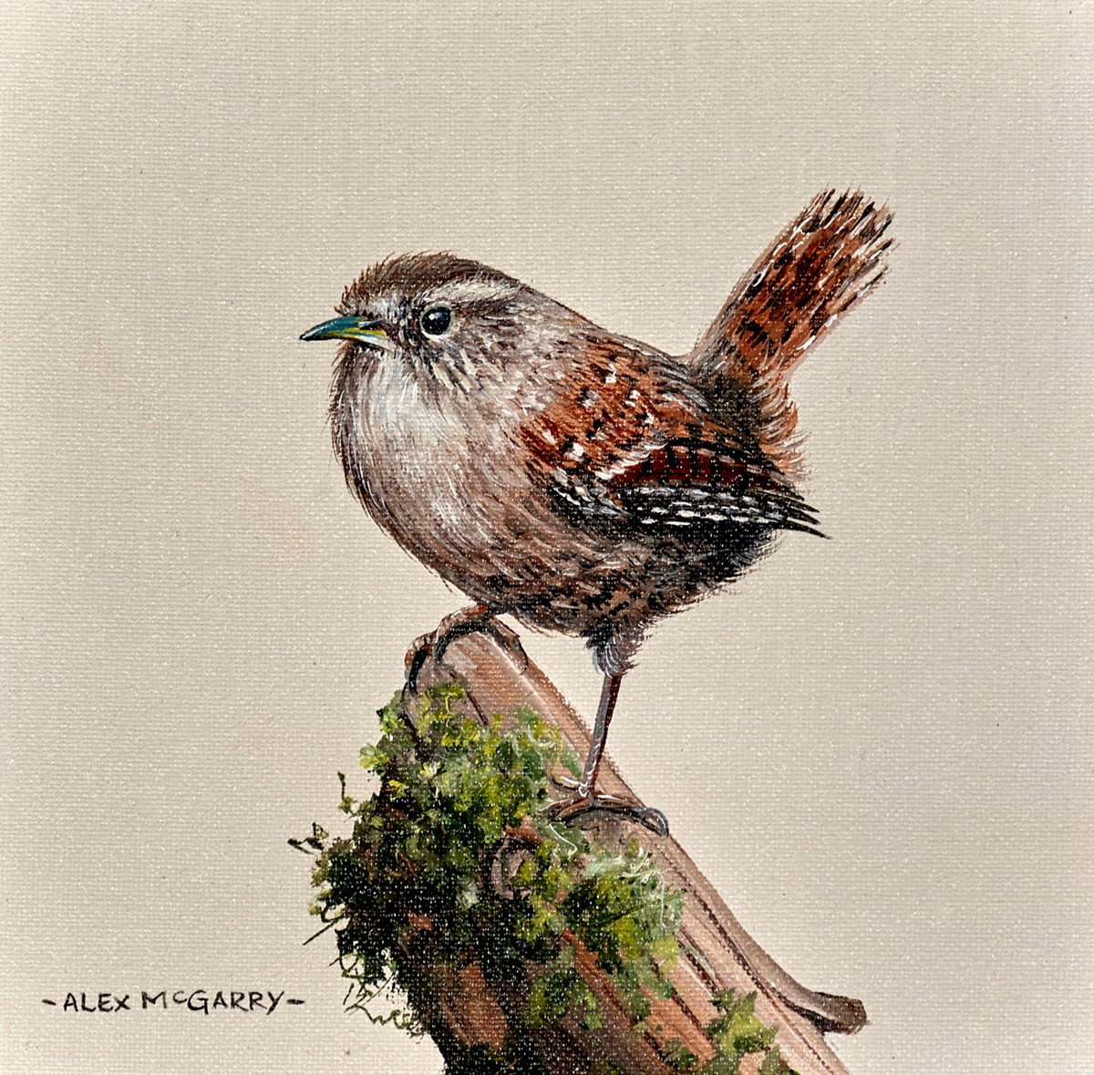 Wren II
