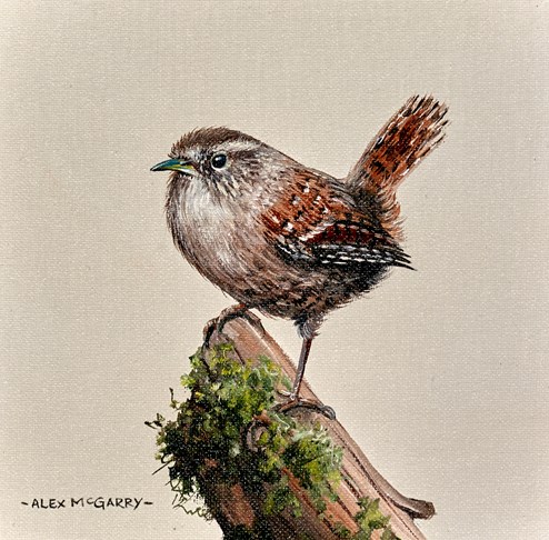 Wren II by Alex McGarry - Original Painting, Canvas on Board